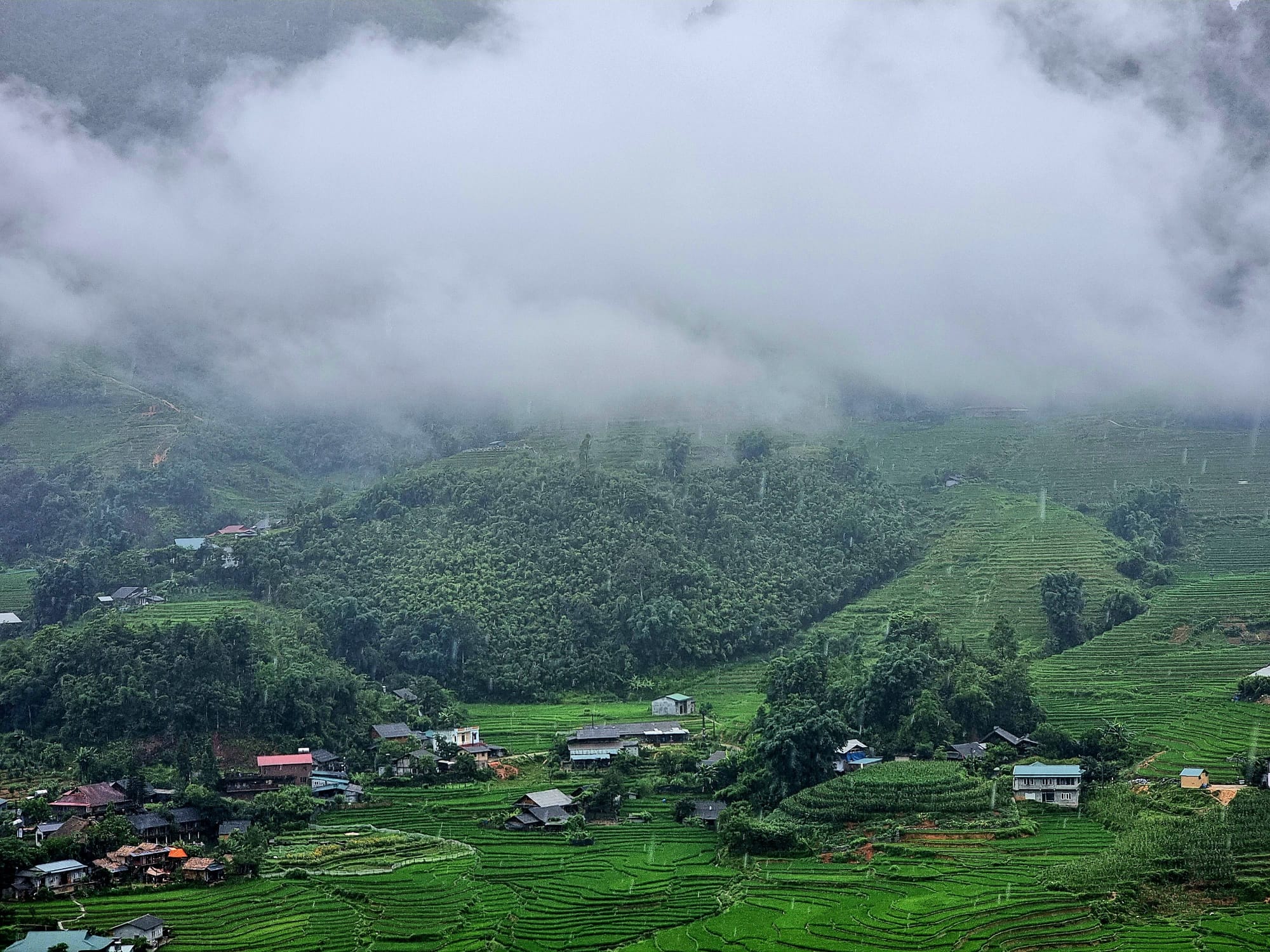 Dreams on the Edge of the Clouds: A H’Mông Woman’s Fight for a Future