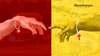 One Hundred Years of Vietnam - Vatican Relations: Three Issues Challenging the Diplomatic Process