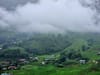 Dreams on the Edge of the Clouds: A H’Mông Woman’s Fight for a Future
