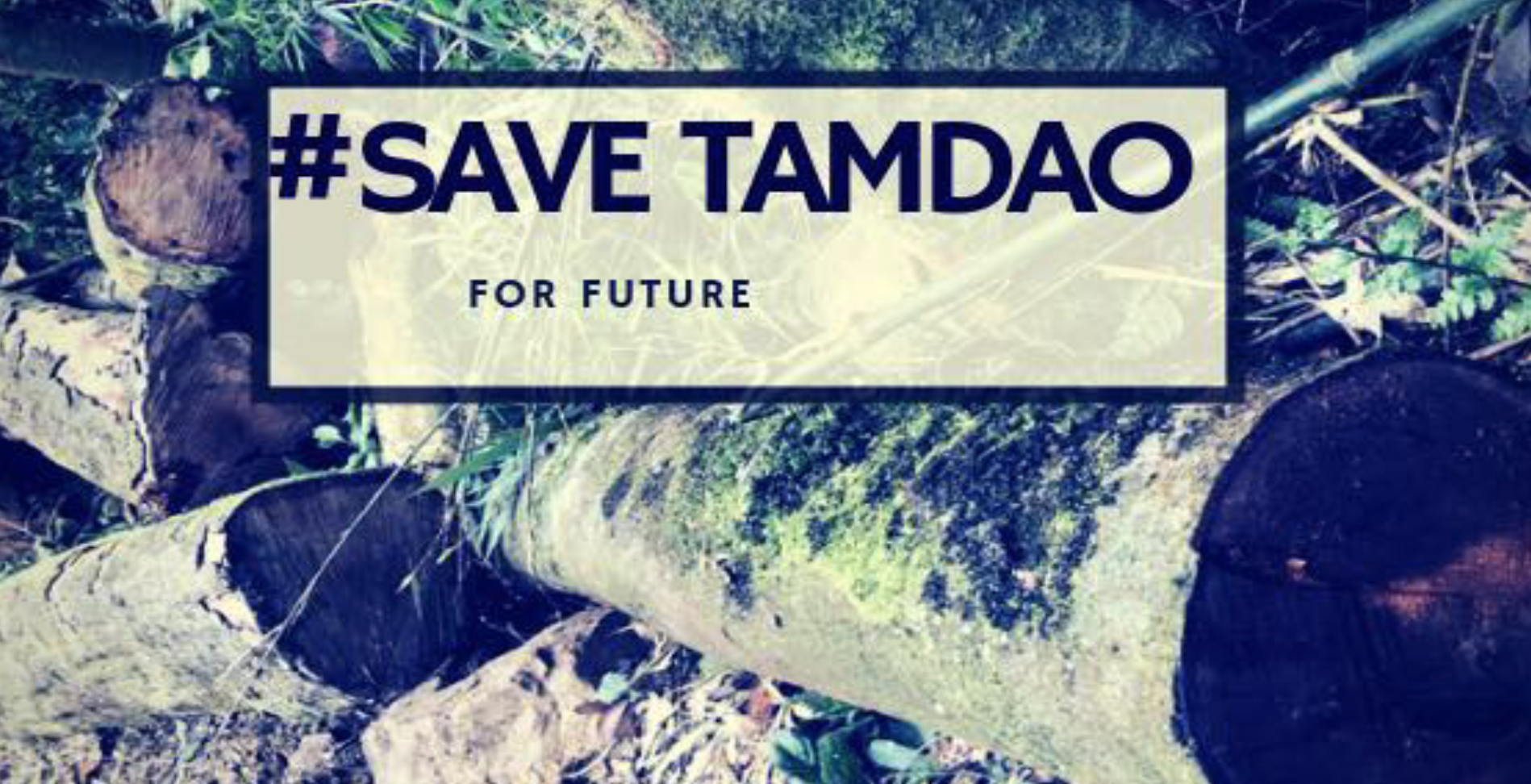 #SaveTamDao: A Cry for Help from Vietnam’s Primary Rainforest