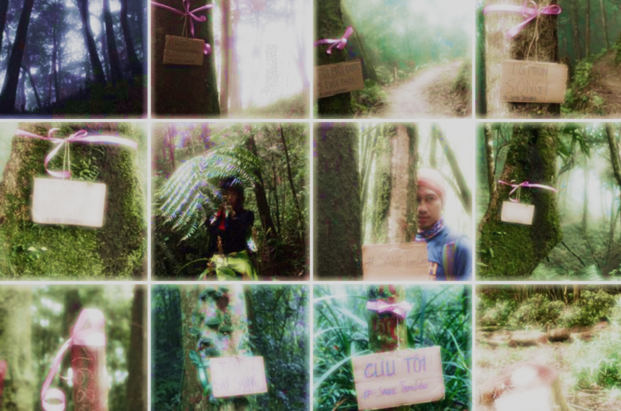 Exploring Tam Dao National Park, Group Of Vietnamese Youths Robbed And Beaten By Unknown Men